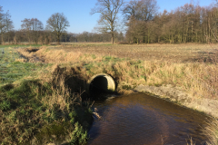 Zicht op bos Italiaanse meren