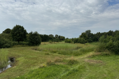 Bosmans Brook, panorama
