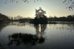 Bosmans Brook, de oevers van de poelen overstromen
