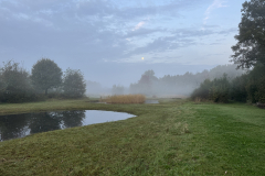 Bosmans Brook, ochtendnevel