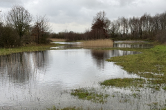 Bosmans Brook, hoog water in de herfst
