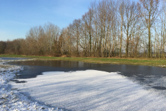 Bosmans Brook, winter met hoog water