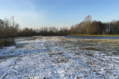 Bosmans Brook, winter met hoog water