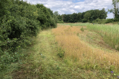 Bosmans Brook, SINUS grasland beheer