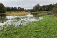 Bosmans Brook, het water stijgt