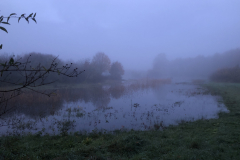 Bosmans Brook, ochtend nevel