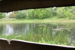 Bosmans Brook, kijkje vanuit de vogelhut