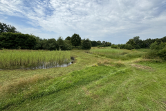 Bosmans Brook, SINUS grasland beheer