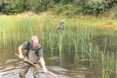 Maaien van de poelen met de zeis.