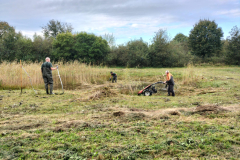 Verzamelen en afvoeren van het maaisel 
