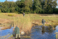 Maaien van de poelen met de zeis.