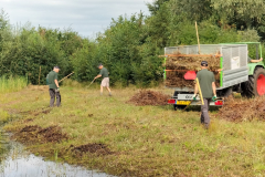 Verzamelen en afvoeren van het maaisel 
