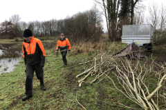 Verzamelen van het takhout voor de versnipperaar