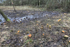 Afzetten van de houtsingel