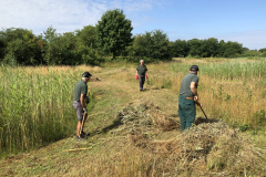 Verzamelen en afvoeren van het maaisel 