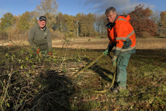 Uitslepen van het takhout 