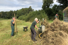 Verzamelen en afvoeren van het maaisel 