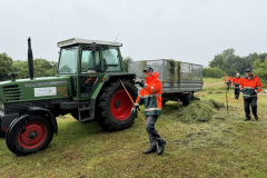 Verzamelen en afvoeren van het maaisel