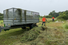 Verzamelen en afvoeren van het maaisel