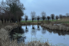 D'n Leeg'n Könningsstool in de herfst