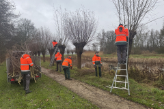 D'n Leeg'n Könningsstool, knotploeg in actie