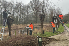 D'n Leeg'n Könningsstool, knotploeg in actie