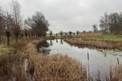D'n Leeg'n Könningsstool in de herfst
