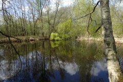 D'n Leeg'n Könningsstool, grote poel
