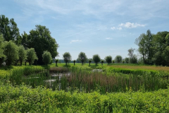 .D'n Leeg'n Könningsstool, zomer