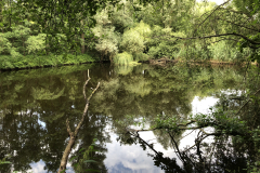 D'n Leeg'n Könningsstool, diepe poel 