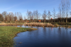 D'n Leeg'n Könningsstool, hoog water tijdens het knotten