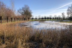 D'n Leeg'n Könningsstool, winters plaatje