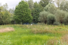 D'n Leeg'n Könningsstool, zomer