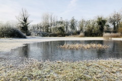 Horstermaat in de winter