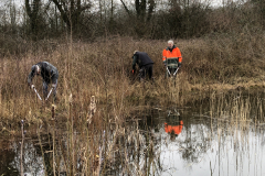 Horstermaat, opschonen van de taluds
