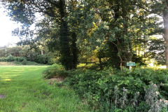 Koningssingel, een typisch Achterhoeks stukje coulissenlandschap