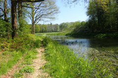De Koningssingel ligt in het stroomgebied van de Veengoot 