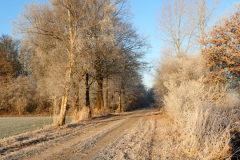 Winters tafereel op de Laarbraak