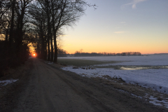 Wintersbeeld van de Laarbraak 
