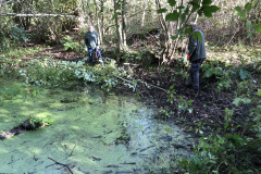 Onderhoud aan de bospoel 