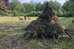 Maaisel op een muizenruiter