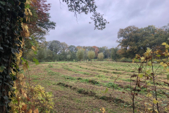 Ligtenbargs Weide 