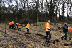 Platen bosplantsoen voor aanleg struweelzone 