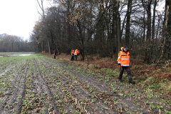 Beheer en onderhoud bossingel Oedingsebeekdal 