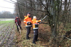 Beheer en onderhoud bossingel Oedingsebeekdal 