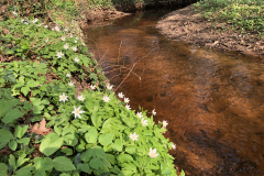 Boven-Slinge terrein Oedingsebeekdal