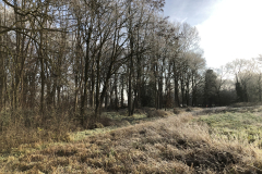 Beekbegeleidend bos Boven-Slinge (westzijde) terrein Oedingsebeekdal