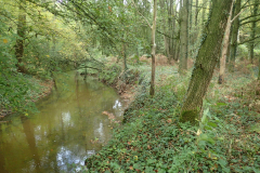 Boven-Slinge met beekbegeleidend bos terrein Oedingsebeekdal