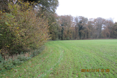 De locatie waar we (na de ruilverkaveling) een struweelzone hebben aangelegd 