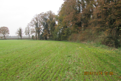 De locatie waar we (na de ruilverkaveling) een struweelzone hebben aangelegd 